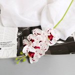 Цветы искусственные «Орхидея экстра галант», h=60 см, d=8 см, бело-сиреневые