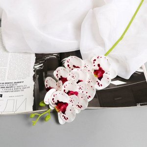 Цветы искусственные «Орхидея экстра галант», h=60 см, d=8 см, бело-сиреневые