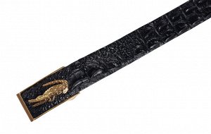 Sefaro Exotic Ремень из кожи крокодила