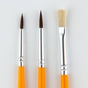Кисть для рисования набор 3 шт. пони №1, №3, щетина №1 для школы