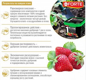 BONA FORTE Удобрение Клубники и Ягод ведро 1лит/0,8кг