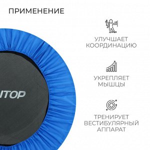 Батут детский ONLITOP, d=101 см, цвет синий