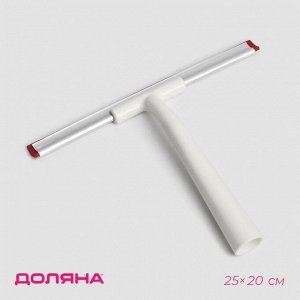 Водосгон Доляна, 25x20 см, пластиковая ручка, силиконовый сгон