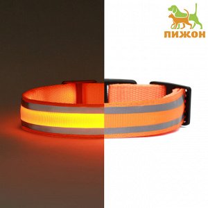 Ошейник с подсветкой Двойная полоса, S, ОШ 35-43x2.5 см, 3 режима свечения оранжевый