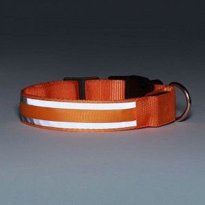 Ошейник с подсветкой Двойная полоса, S, ОШ 35-43x2.5 см, 3 режима свечения оранжевый