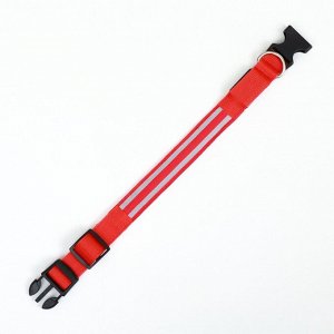Ошейник с подсветкой Двойная полоса размер XL, ОШ 52-60x2.5 см, 3 режима свечения красный
