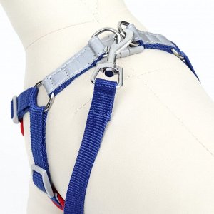 Комплект Sport+, S, поводок 150 x 1,5 см, ОШ 39-41 см, ОГ 44-48 см, вес животного 7-13 кг, синий 96