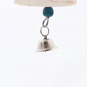Игрушка для птиц с панцирем каракатицы и бусами, 18 х 6 см