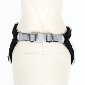 Комплект Sport+, S, поводок 120 x1 ,5 см, ОШ 39-41 см, ОГ 44-48 см, вес животного 7-13 кг, чёрный 9
