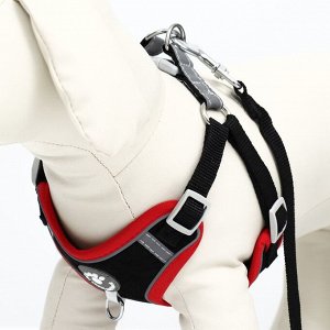 Комплект Sport+, S, поводок 120 x1 ,5 см, ОШ 39-41 см, ОГ 44-48 см, вес животного 7-13 кг, чёрный 9