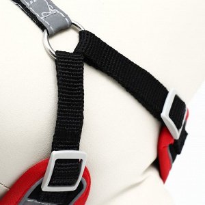 Комплект Sport+, S, поводок 120 x1 ,5 см, ОШ 39-41 см, ОГ 44-48 см, вес животного 7-13 кг, чёрный 9
