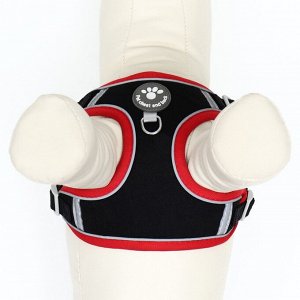 Комплект Sport+, S, поводок 120 x1 ,5 см, ОШ 39-41 см, ОГ 44-48 см, вес животного 7-13 кг, чёрный 9