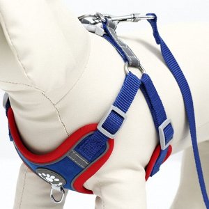 Комплект Sport+, L, поводок 120 x 1,5 см, ОШ 49-56 см, ОГ 56-68 см, вес животного 20-28 кг, синий 9
