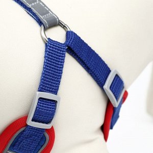 Комплект Sport+, L, поводок 120 x 1,5 см, ОШ 49-56 см, ОГ 56-68 см, вес животного 20-28 кг, синий 9
