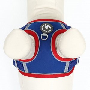 Комплект Sport+, L, поводок 120 x 1,5 см, ОШ 49-56 см, ОГ 56-68 см, вес животного 20-28 кг, синий 9