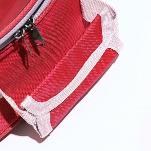 Рюкзак для переноски животных прозрачный, 31 х 28 х 42 см, красный