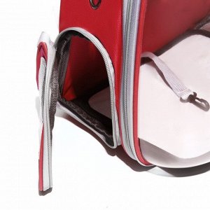 Рюкзак для переноски животных прозрачный, 31 х 28 х 42 см, красный