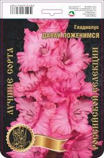 Гладиолус