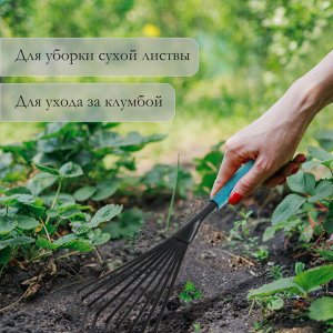 Грабли малые Greengo, веерные, пластинчатые, 9 зубцов, длина 38 см, 9 зубцов, металл, пластиковая ручка