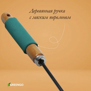 Грабли малые Greengo, прямые, 5 зубцов, длина 29 см, металл, деревянная ручка с поролоном