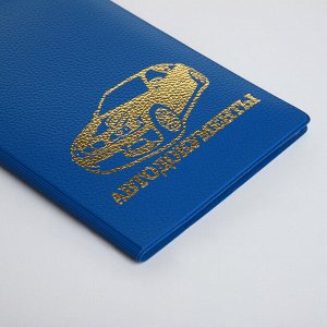 Обложка для автодокументов, цвет синий