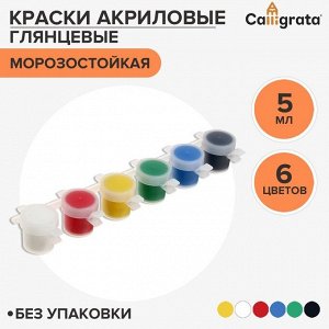 Краска акриловая, набор 6 цветов х 5 мл, Shine, Calligrata Kid Shine ГЛЯНЦЕВЫЕ (повышенное содержание пигмента), морозостойкие, без упаковки