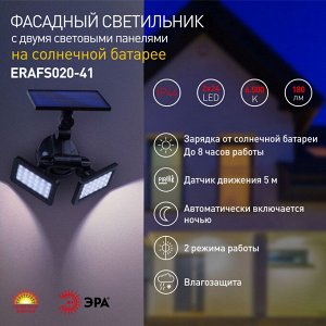 Светильник уличный ЭРА ERAFS020-42, 2*50LED, 60lm