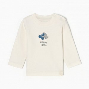 Лонгслив Крошка Я Little berry.