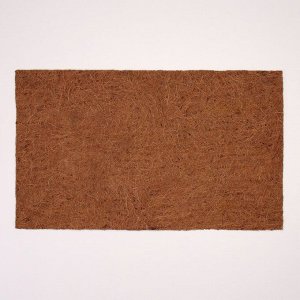 Коврик из кокосового волокна, 50 х 30 см