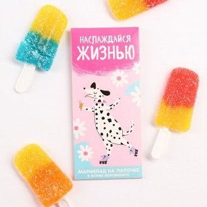 Мармелад мороженое «Наслаждайся жизнью», 1 шт. х 14 г.
