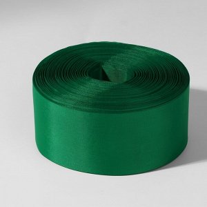 Лента капроновая, 50 мм, 100 ± 5 м, цвет зелёный