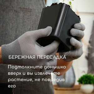 Горшок для рассады, 300 мл, чёрный, 5 шт