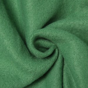 Плед Экономь и Я 150х130см, цвет зелёный, 160 г/м2, 100% п/э