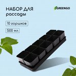 Набор для рассады: стаканы по 500 мл (10 шт.), поддон 45 ? 18 см, МИКС