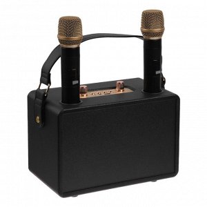 Портативная караоке система M4202+, 25 Вт, 3600 мАч. 2 микрофона, чёрная