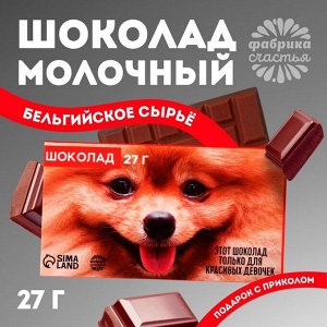 Шоколад молочный «Только для красивых девочек», 27 г.