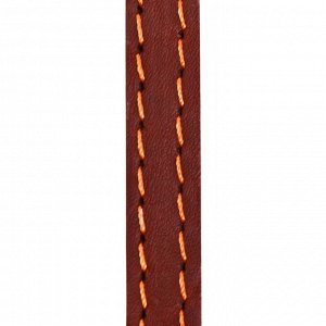 Поводок кожаный однослойный, простроченный, 1.47 м х 1.2 см, коричневый