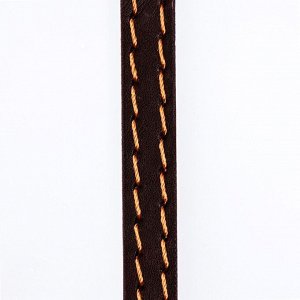 Поводок кожаный однослойный, простроченный, 1.37 м х 1 см, коричневый