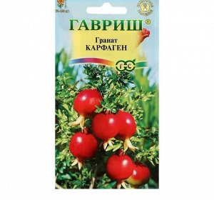 Гавриш Гранат &quot;Карфаген&quot;, 5 шт.