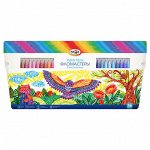 Фломастеры Гамма &quot;&quot;Классические&quot;&quot;, 36цв., смываемые, картон. упак., европодвес