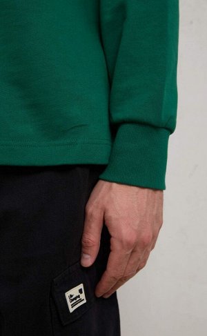 Футболка-поло мужская  длинный рукав P411-0570 d.green