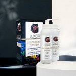 LUXOR PROFESSIONAL Осветление и удаление краски Люксор