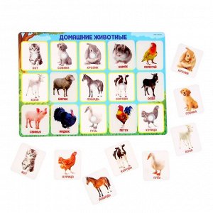 Игра на липучках «‎Животные фермы»,‎ по методике Г. Домана