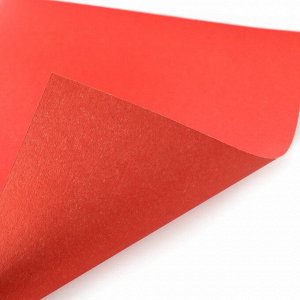 Цветной картон, А4, 8 листов, 8 цветов, немелованный, двусторонний, в папке, 220 г/м?, «Маша и медведь»