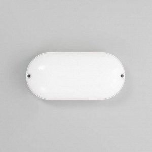 Светильник "Овал" LED 20Вт IP65 белый 6,8х13,5х27 см