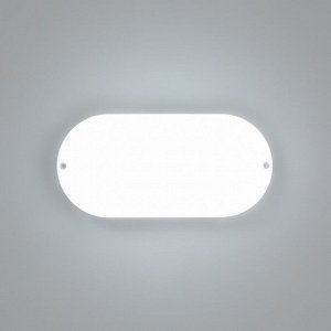 Светильник "Овал" LED 20Вт IP65 белый 6,8х13,5х27 см