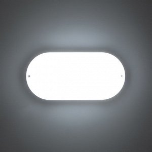 Светильник "Овал" LED 20Вт IP65 белый 6,8х13,5х27 см