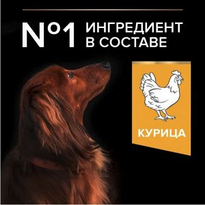 PRO PLAN® Small & Mini Adult 9+ сухой корм для пожилых собак мелких и карликовых пород старше 9 лет с курицей, 700г