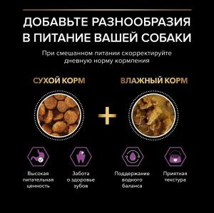 PRO PLAN® Small & Mini Adult 9+ сухой корм для пожилых собак мелких и карликовых пород старше 9 лет с курицей, 700г