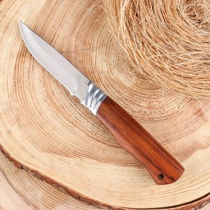 Нож охотничий "Бургут" 21,5см, клинок 98мм/2,5мм, деревянная рукоять
